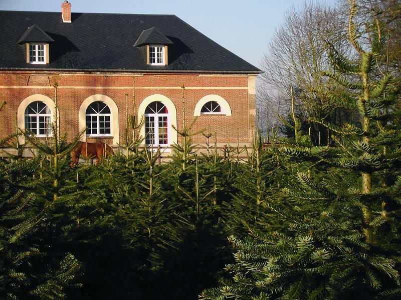 Gîtes de France® - Mer in Sassetot-le-Mauconduit, Frankrijk voor 13 personen foto 24