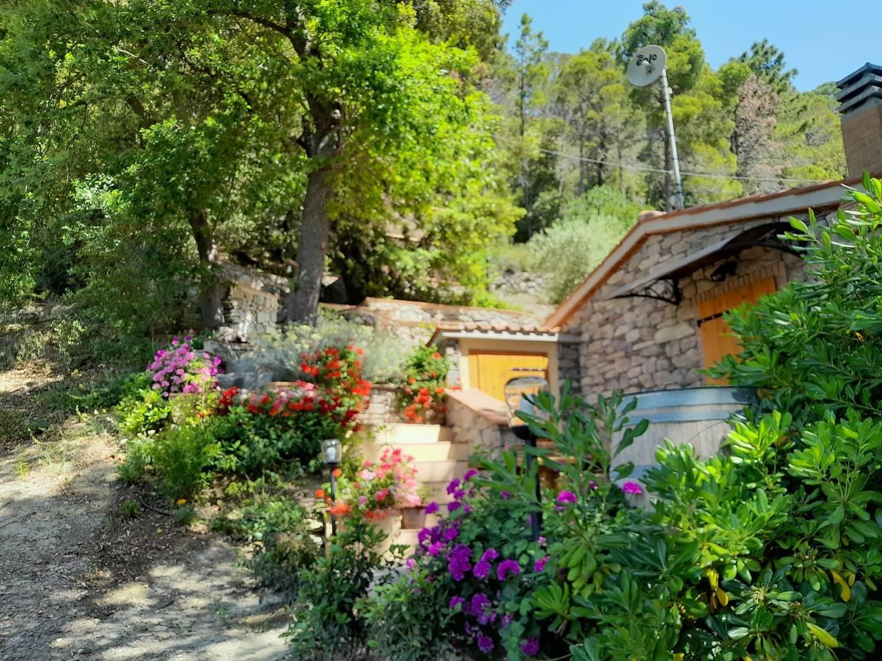 Vakantiehuis in Val di Cecina, Italië voor 4 personen foto 4