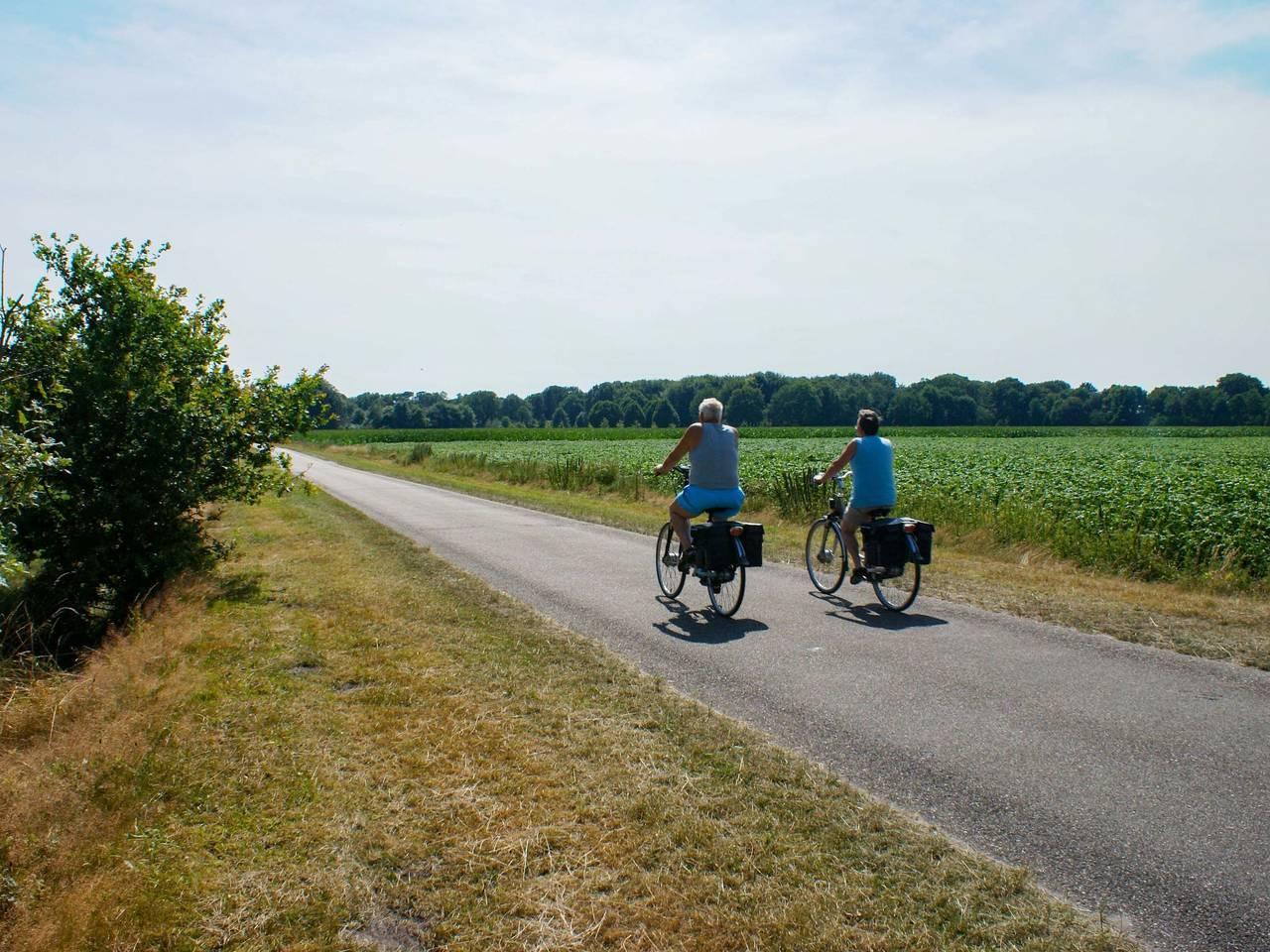Onder De Eiken in Westerveld, Nederland voor 12 personen foto 23