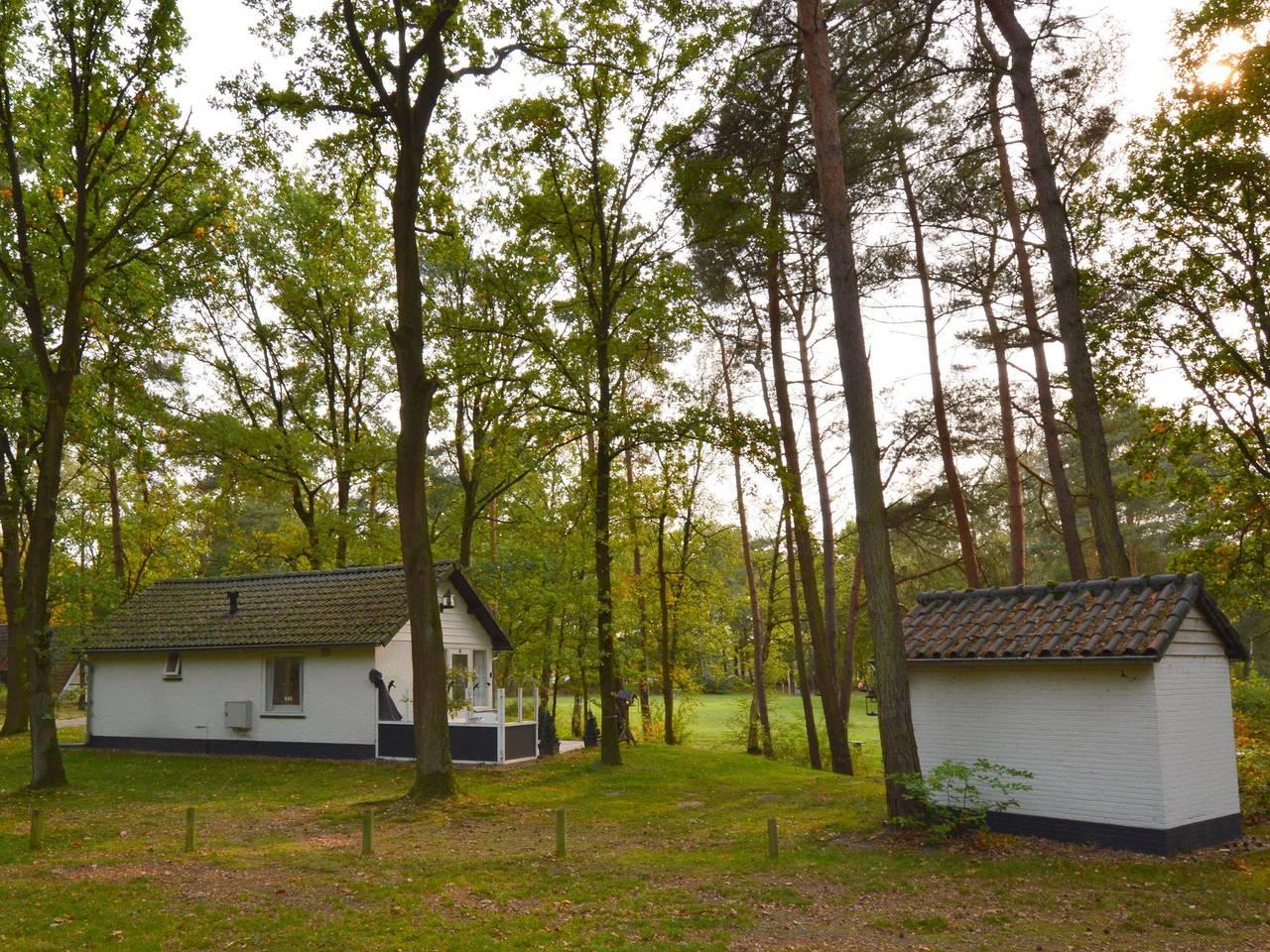 Vakantiehuis met hond toegestaan in Stramproy, Limburg, Nederland voor 3 personen foto 19
