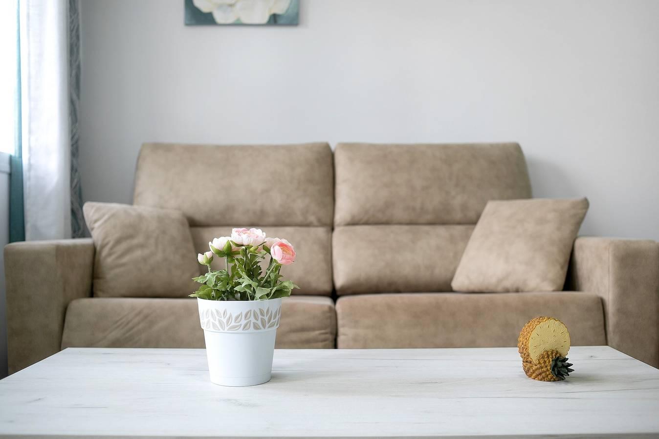Vakantieappartement in La Janda, Spanje voor 6 personen foto 4