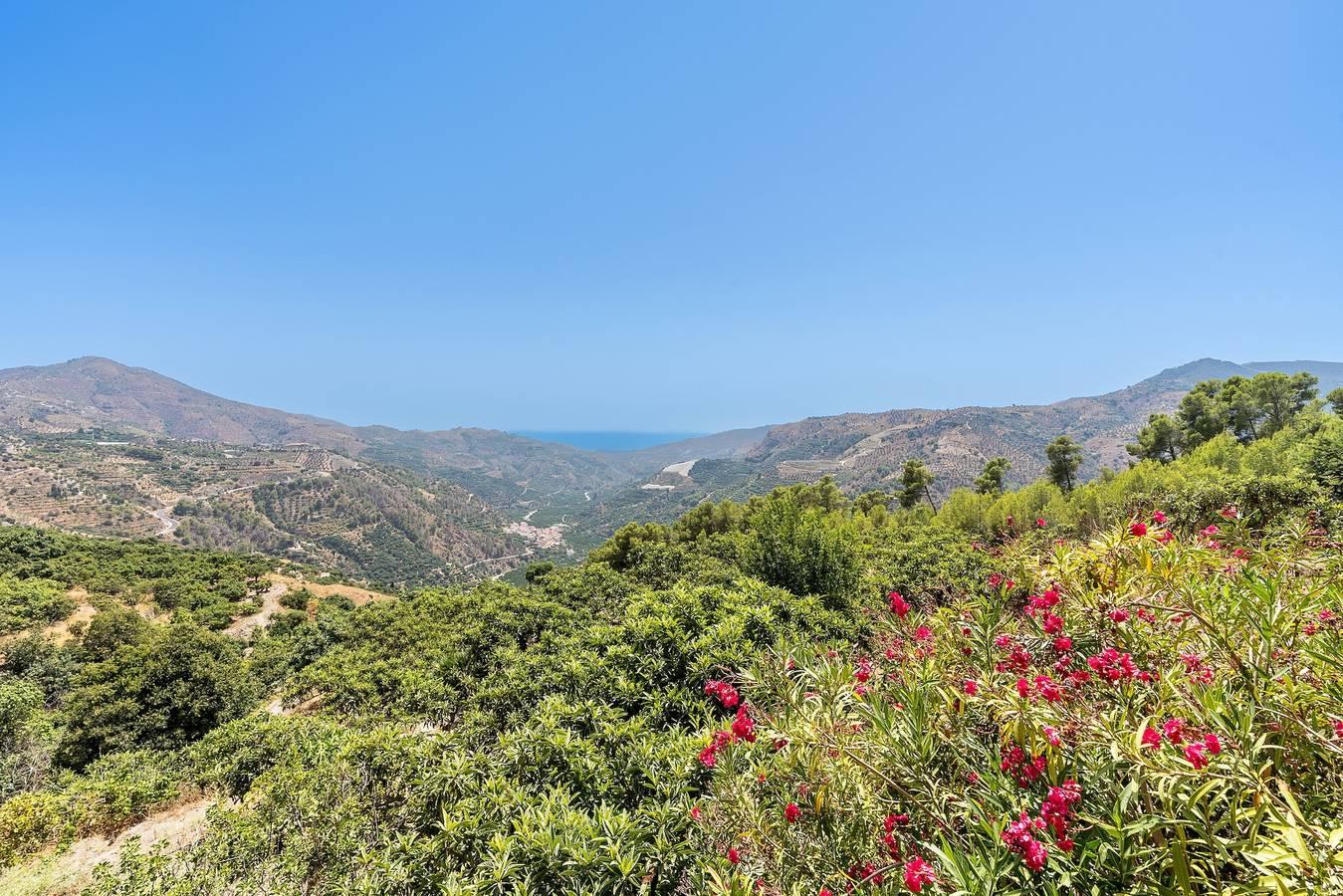 Vakantiehuis in Otívar, Spanje voor 6 personen foto 5