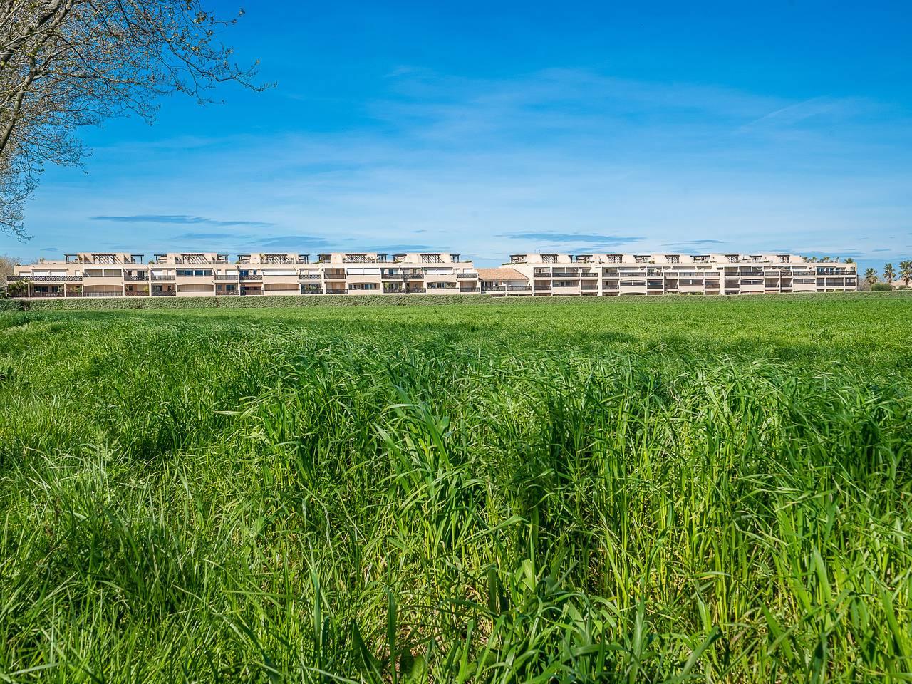 Les Embruns in Saint-Cyprien, Middellandse Zeekust (Frankrijk), Frankrijk voor 6 personen foto 24
