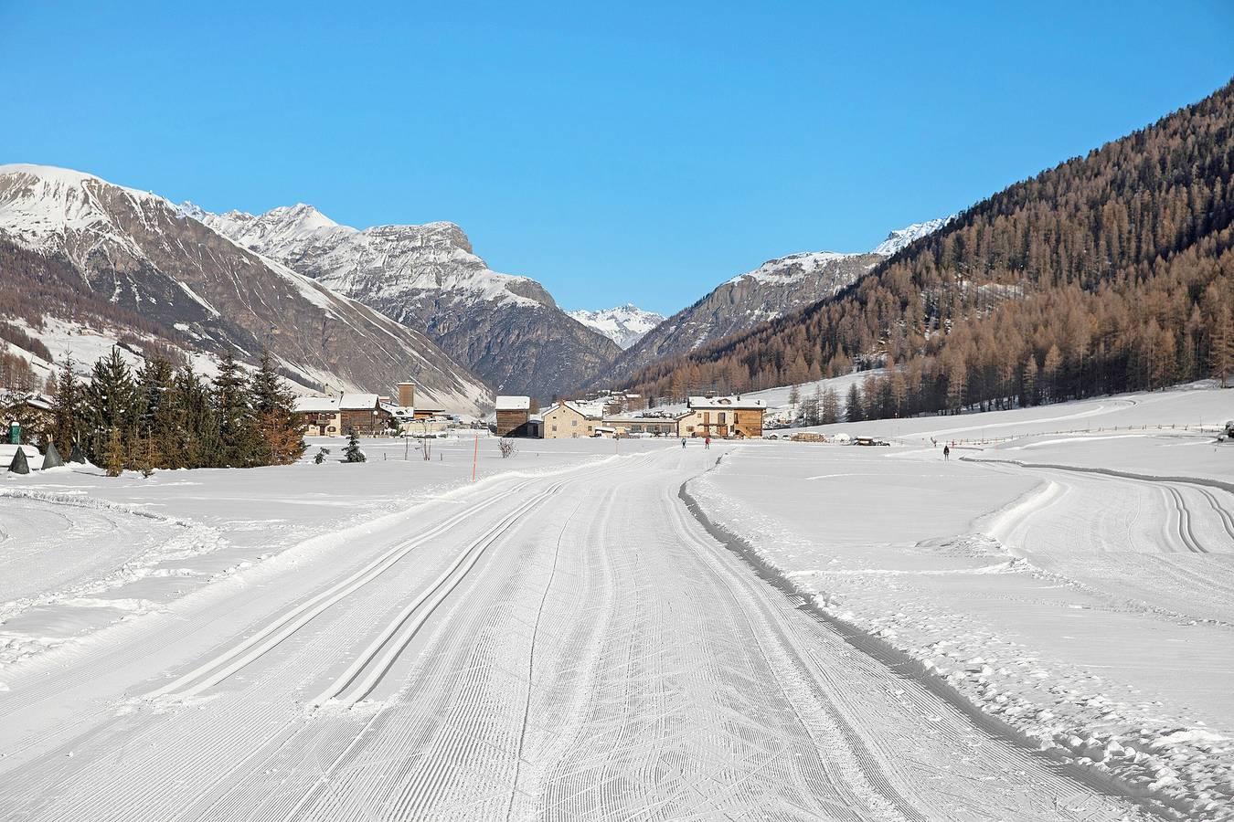 Vakantieappartement met speeltuin en hond toegestaan in Livigno, Valtellina, Italië voor 5 personen foto 25