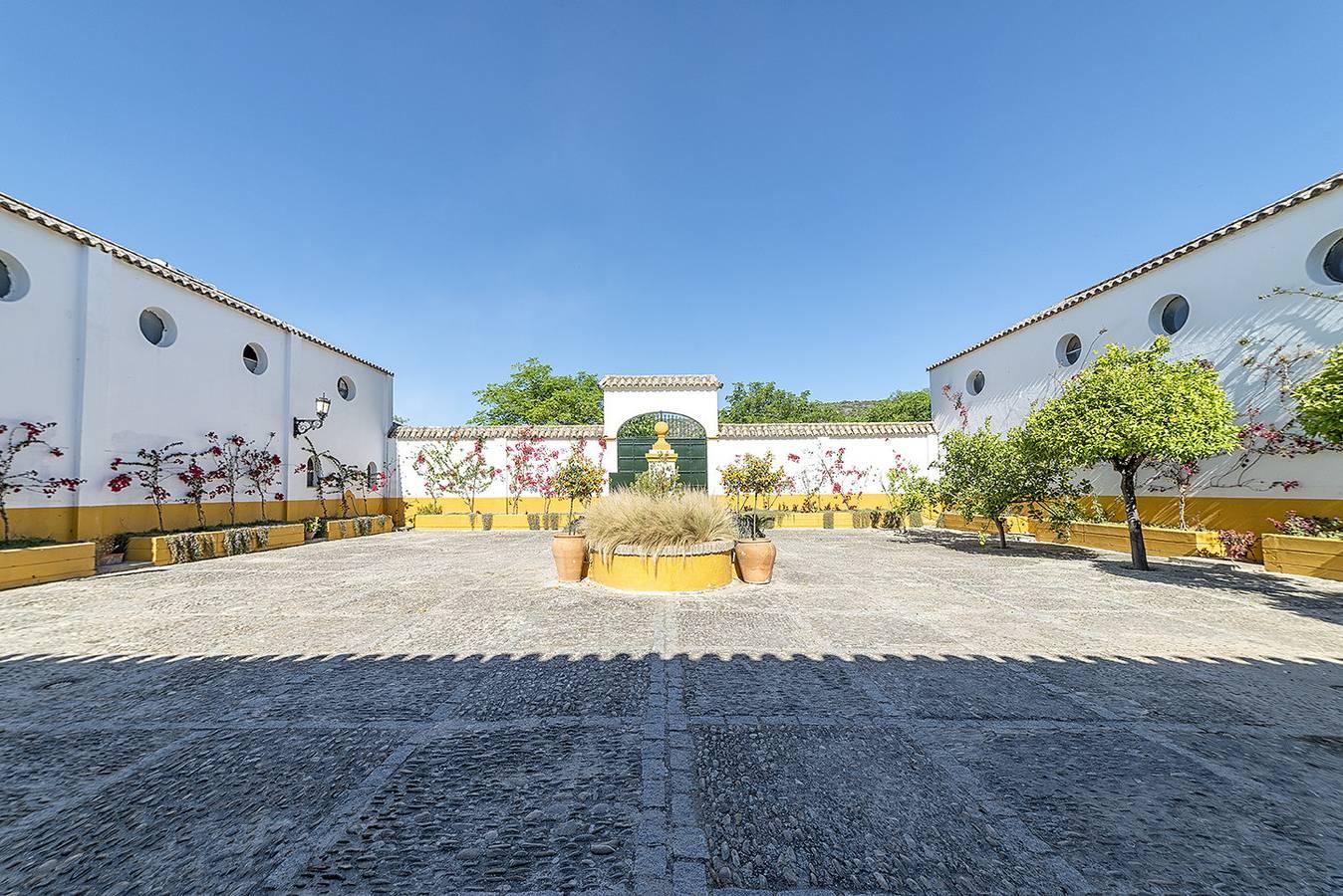 Vakantiehuis in Cádiz Provincie, Spanje voor 13 personen foto 16