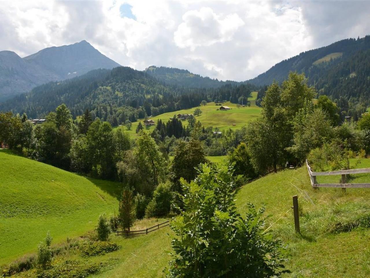 Vakantieappartement in Lauenen, Zwitserland voor 4 personen foto 9