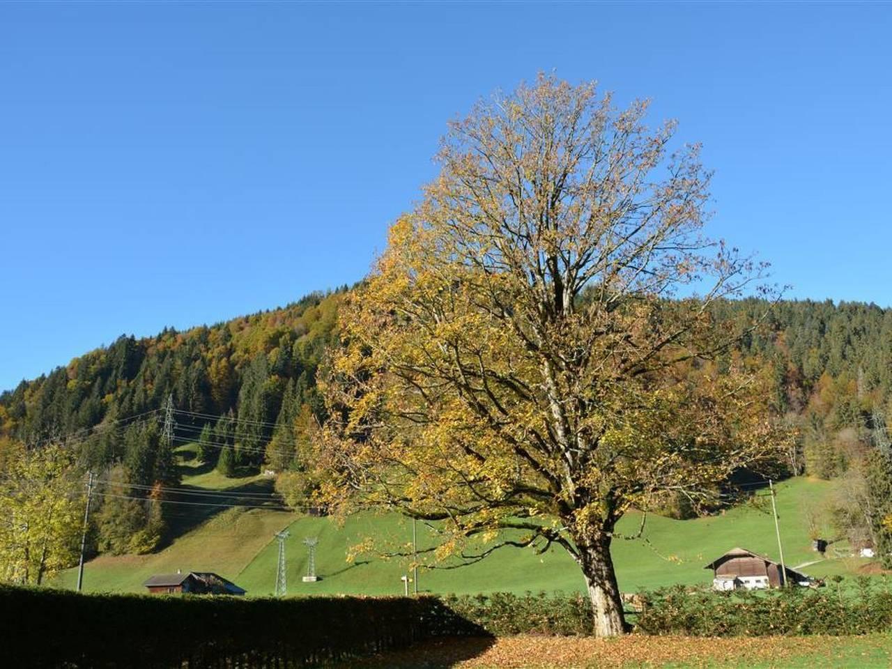 Vakantieappartement in Saanen, Zwitserland voor 8 personen foto 6