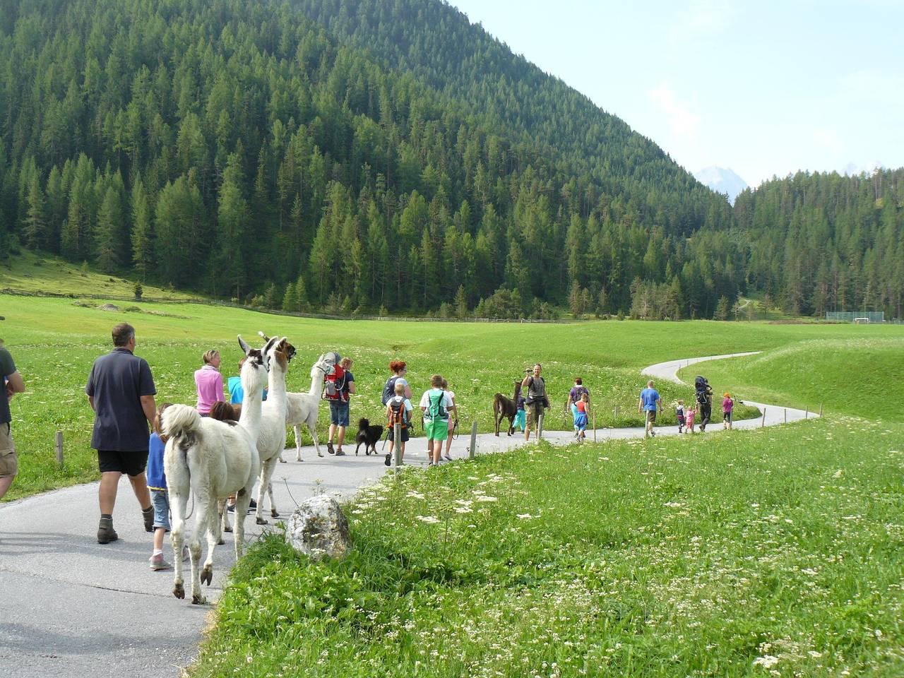Vakantieappartement met sauna en hond toegestaan in Stubai Alps, Umhausen, Oostenrijk voor 5 personen foto 21