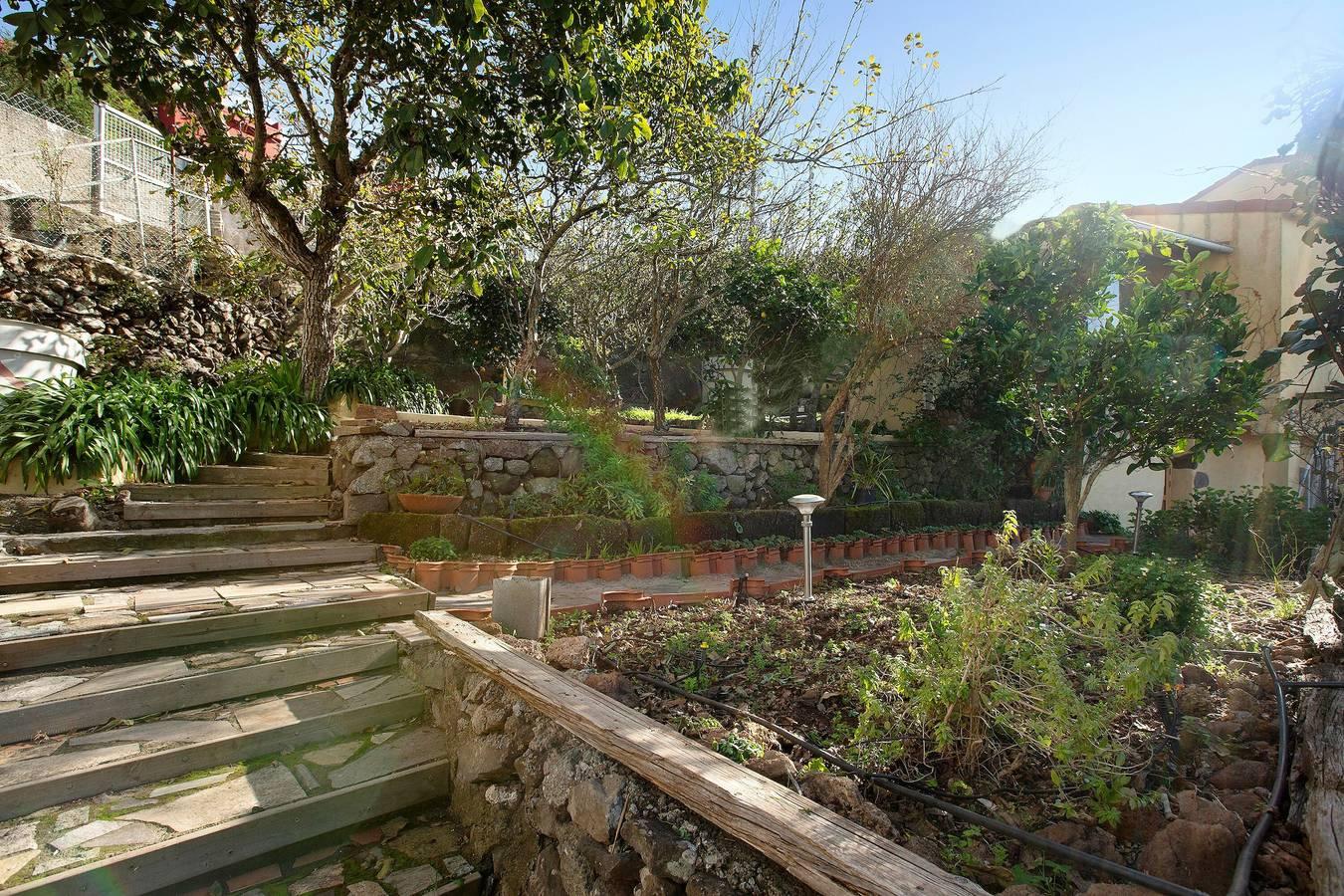 Vakantiehuis Mirador de Domingo met bergzicht, zeezicht in Gáldar, Noord-Gran Canaria, Spanje voor 6 personen foto 21