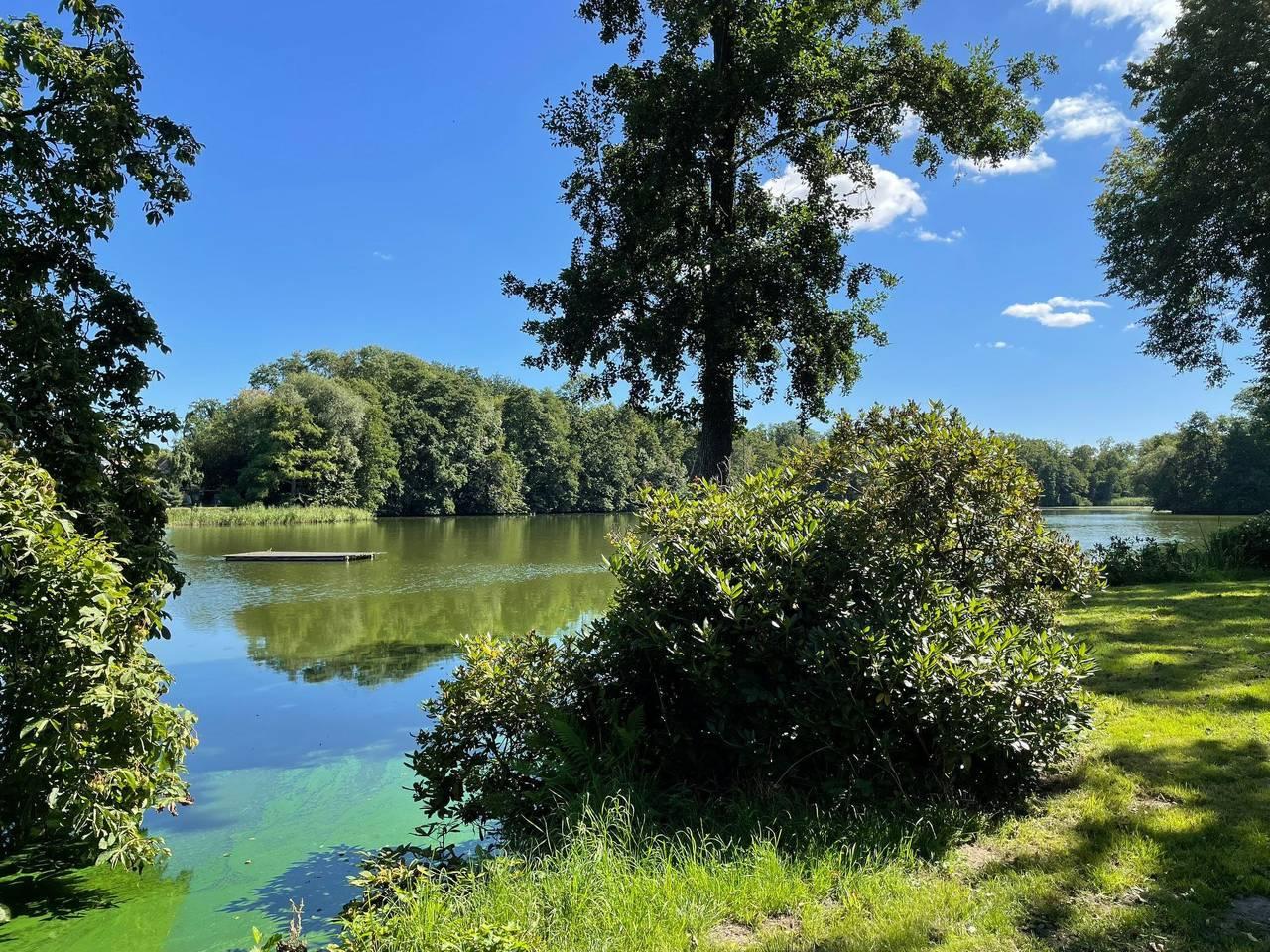 Gärtnerhaus in Falkenhain, Lossatal, Duitsland voor 4 personen foto 20