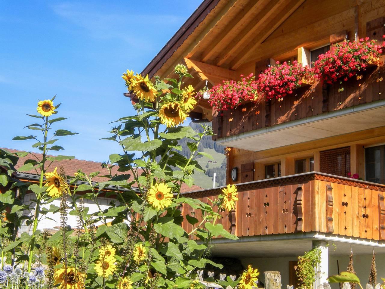 Vakantieappartement in Grindelwald