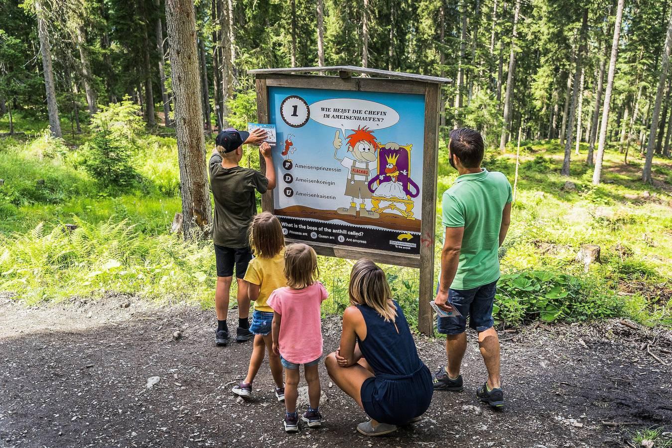 Éénpersoonskamer, douche, Wc in Flachau, Ski Amadé, Oostenrijk voor 1 persoon foto 23