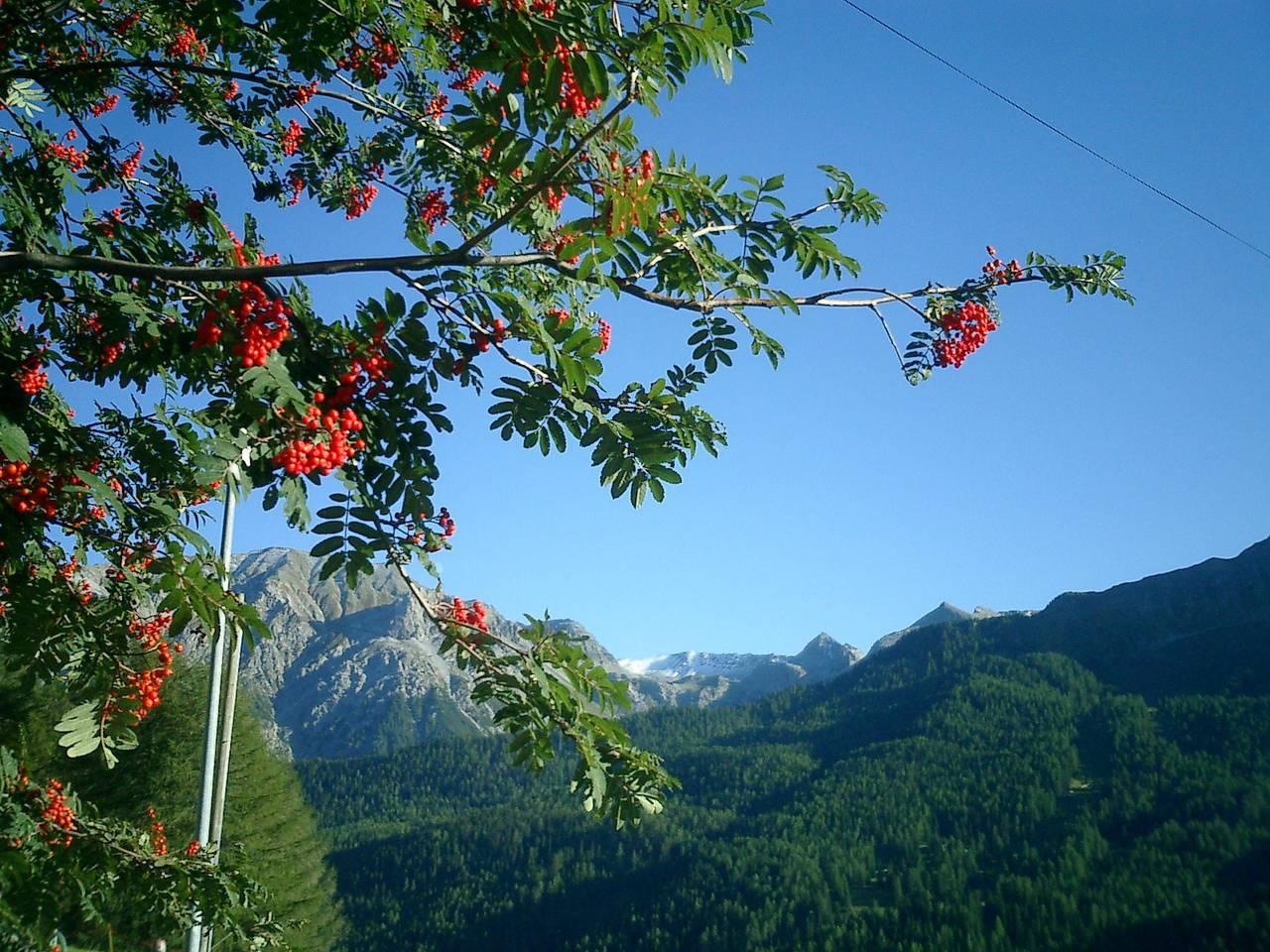 Vakantieappartement met sauna in Lü, Val Müstair, Zwitserland voor 3 personen foto 24