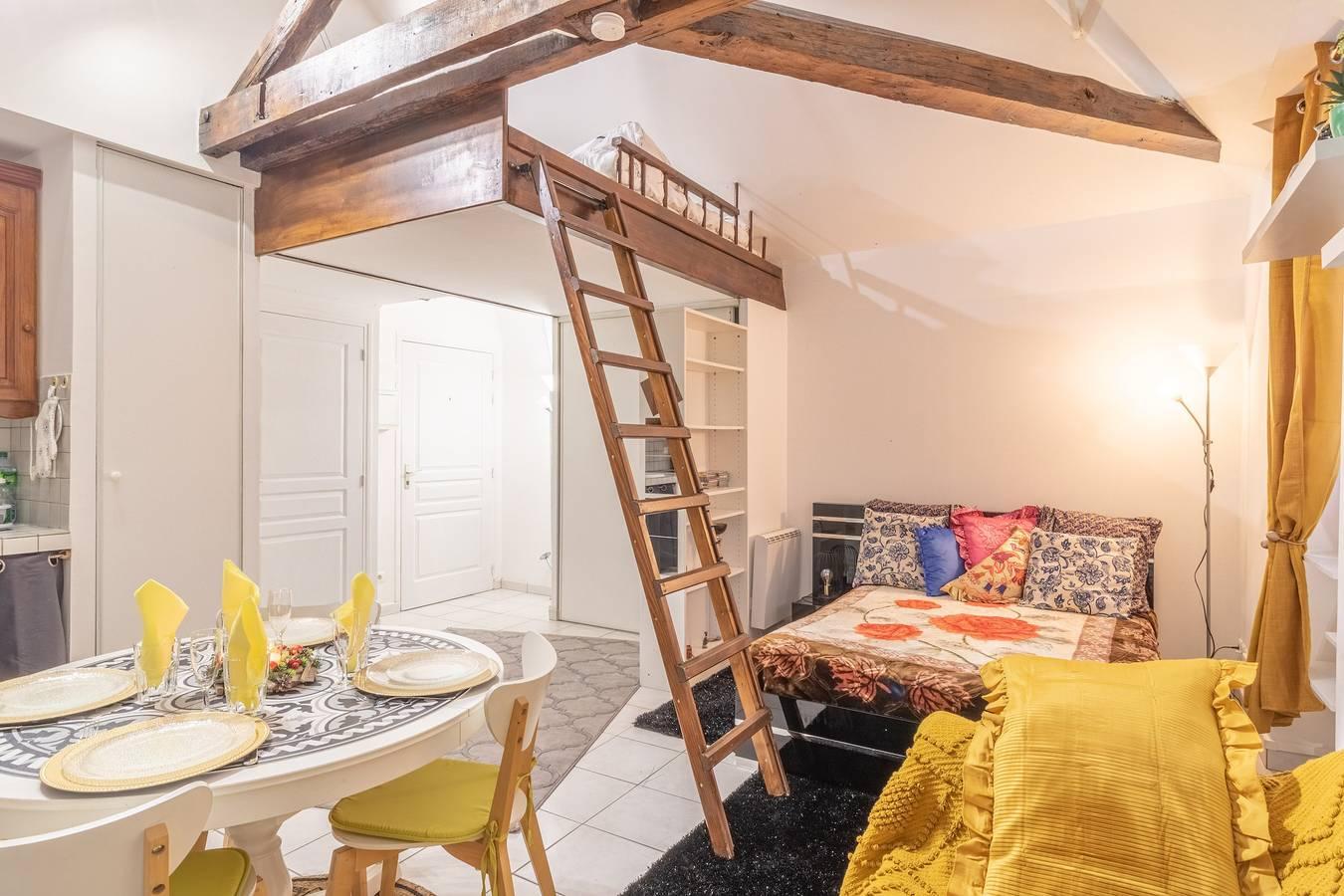 Vakantieappartement in Seine-et-Marne, Frankrijk voor 4 personen foto 3