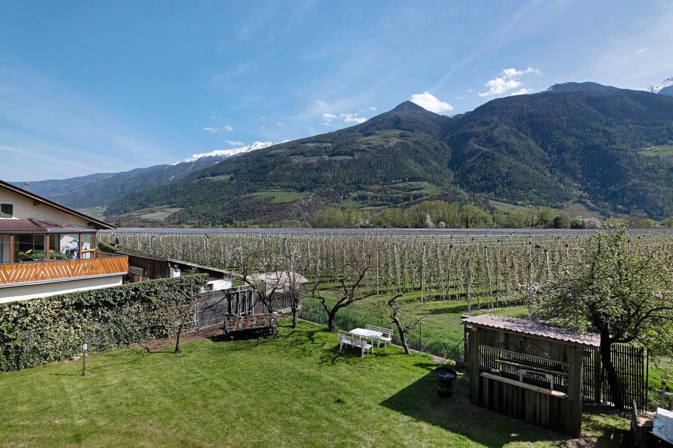 Vakantieappartement in Vinschgau foto 3