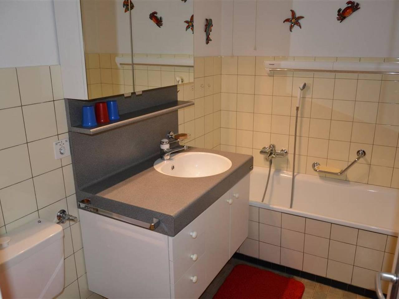 Vakantieappartement in Saanen, Zwitserland voor 8 personen foto 15