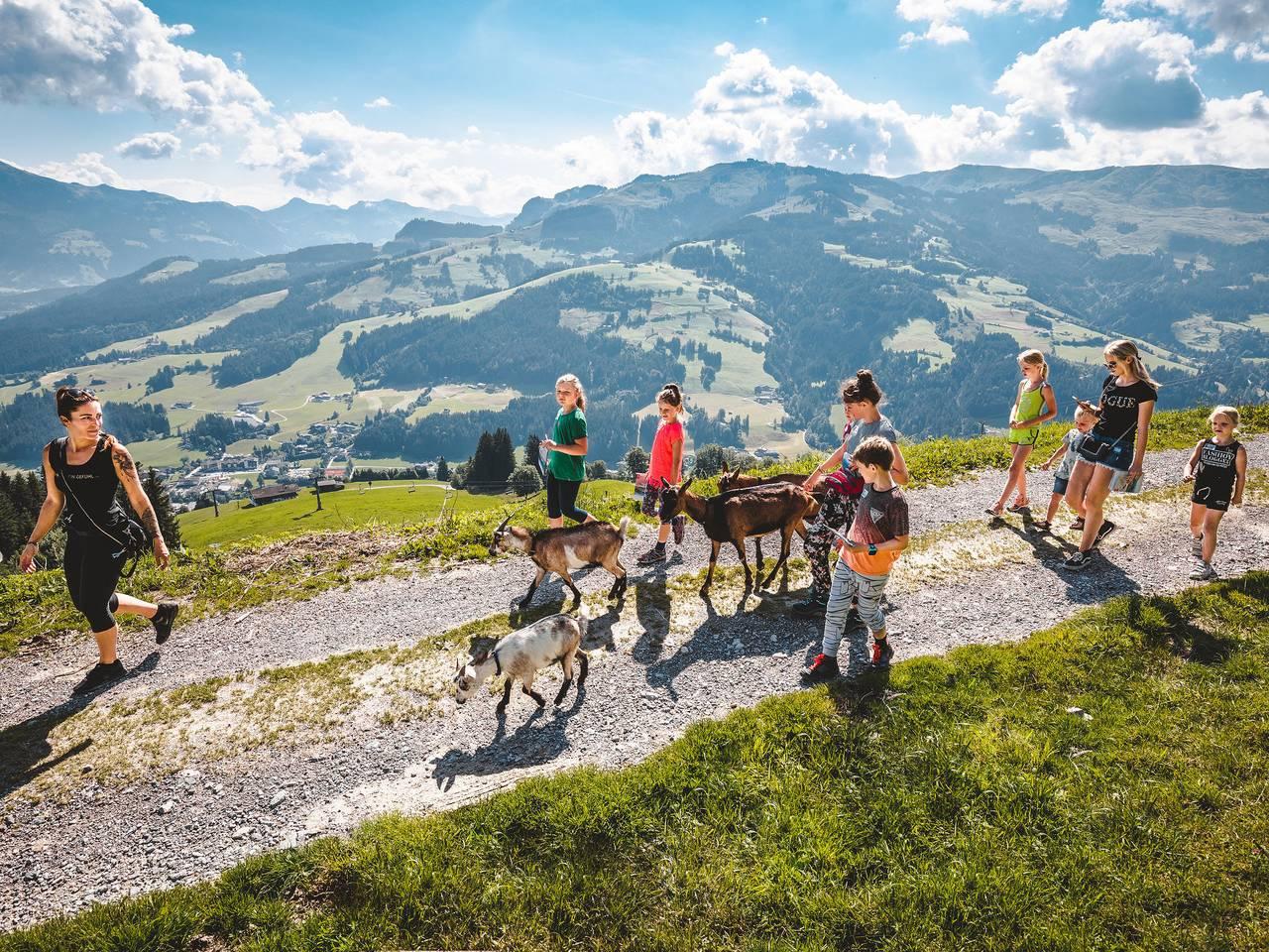 Vakantieappartement in Kirchberg in Tirol, Kaisergebirge, Oostenrijk voor 6 personen foto 22