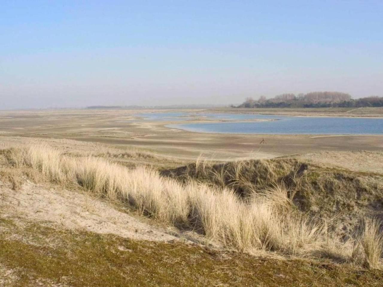 Vakantiehuis in Zingem, Oost-Vlaanderen, België voor 2 personen foto 23