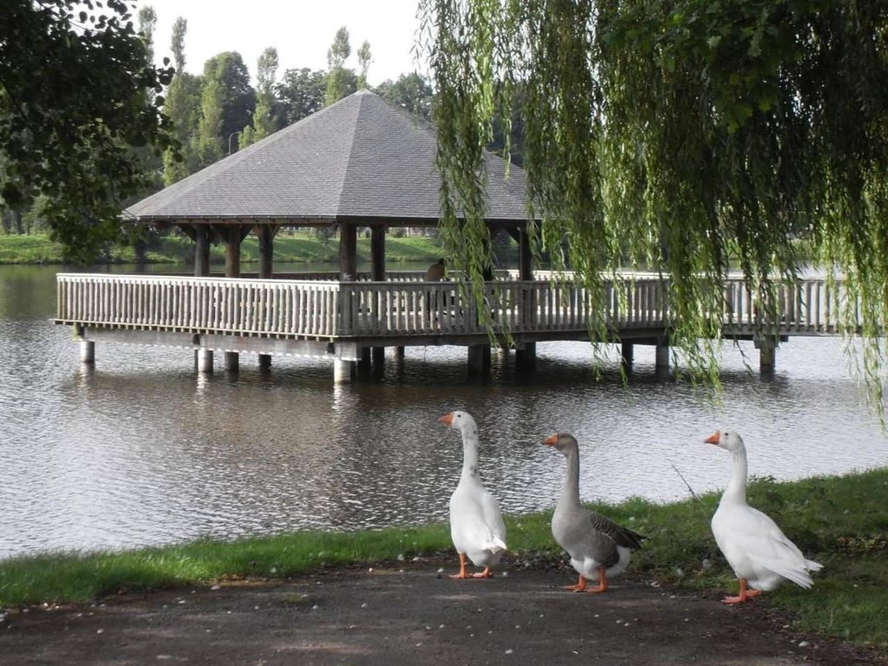 Vakantiehuis met sauna in Petit-Thier, Vielsalm, België voor 16 personen foto 22