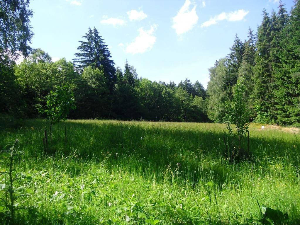 Vakantieappartement in Waldviertel foto 11
