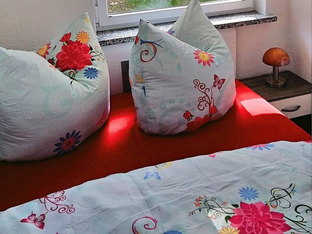 Vakantiehuis in Harz, Duitsland voor 3 personen foto 9