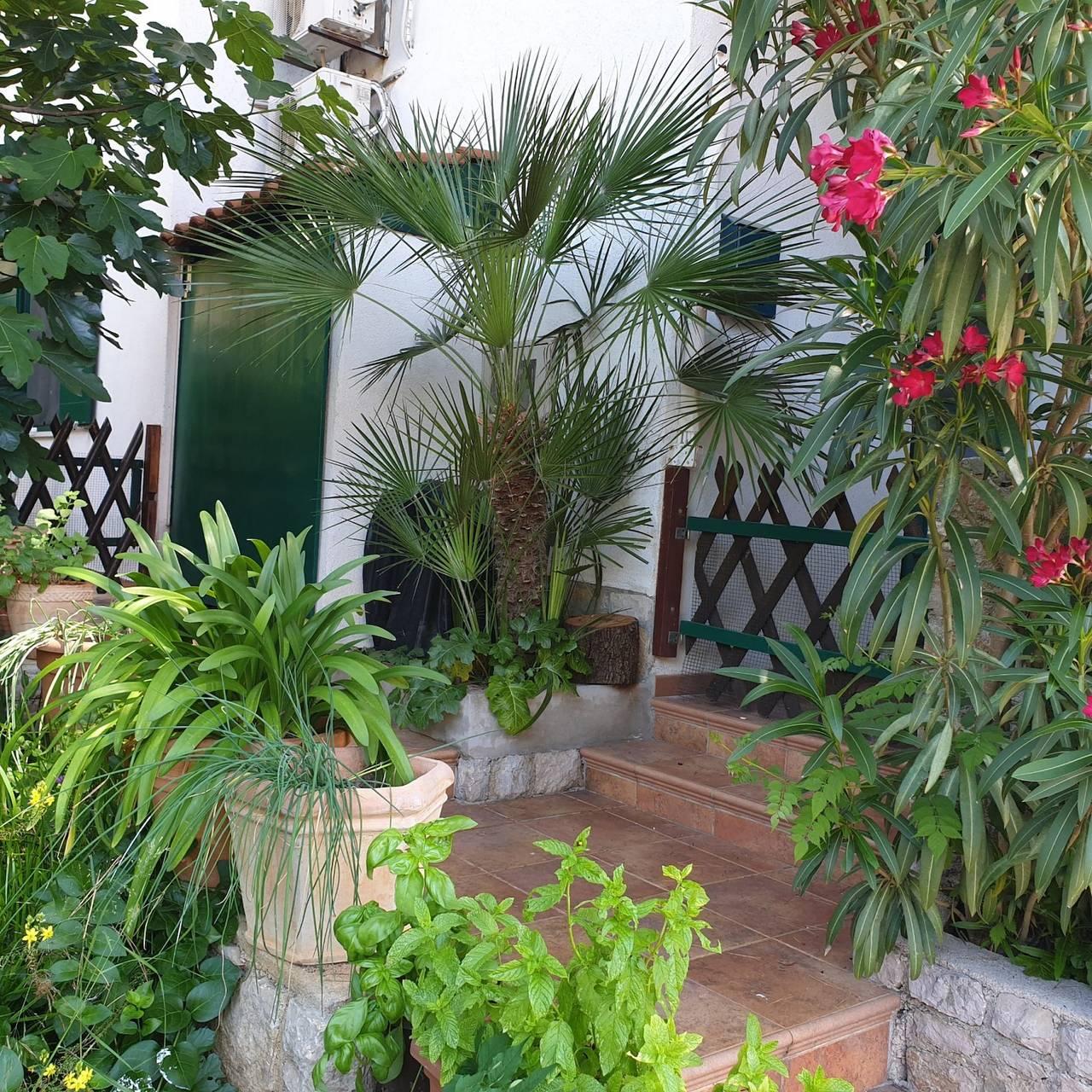 Studioapartment in Mali Lošinj mit Terrasse, Klimaanlage in Aratore, Lošinj (Kvarn Bay), Kroatië voor 2 personen foto 23