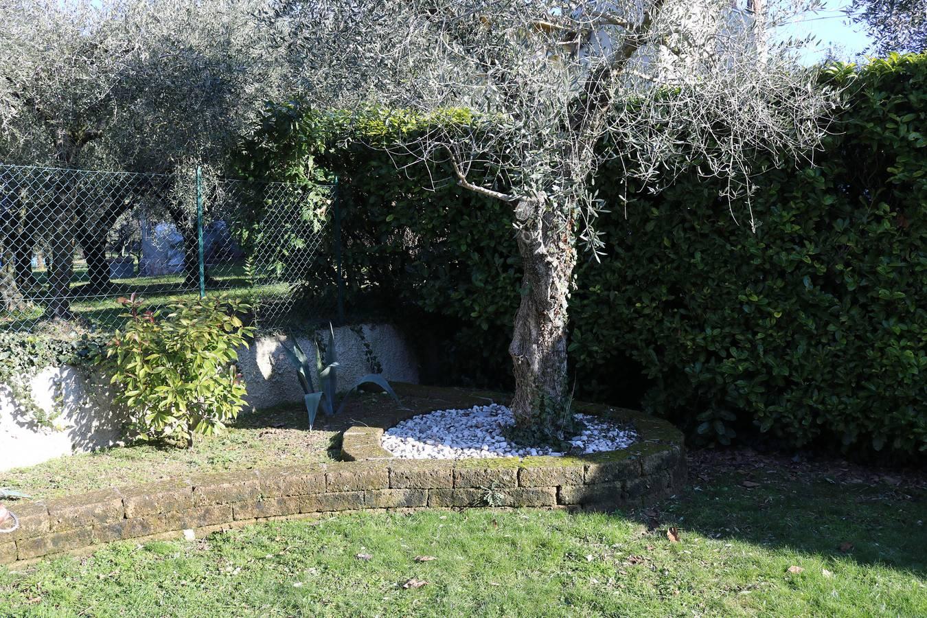 Vakantieappartement in Lazise foto 5