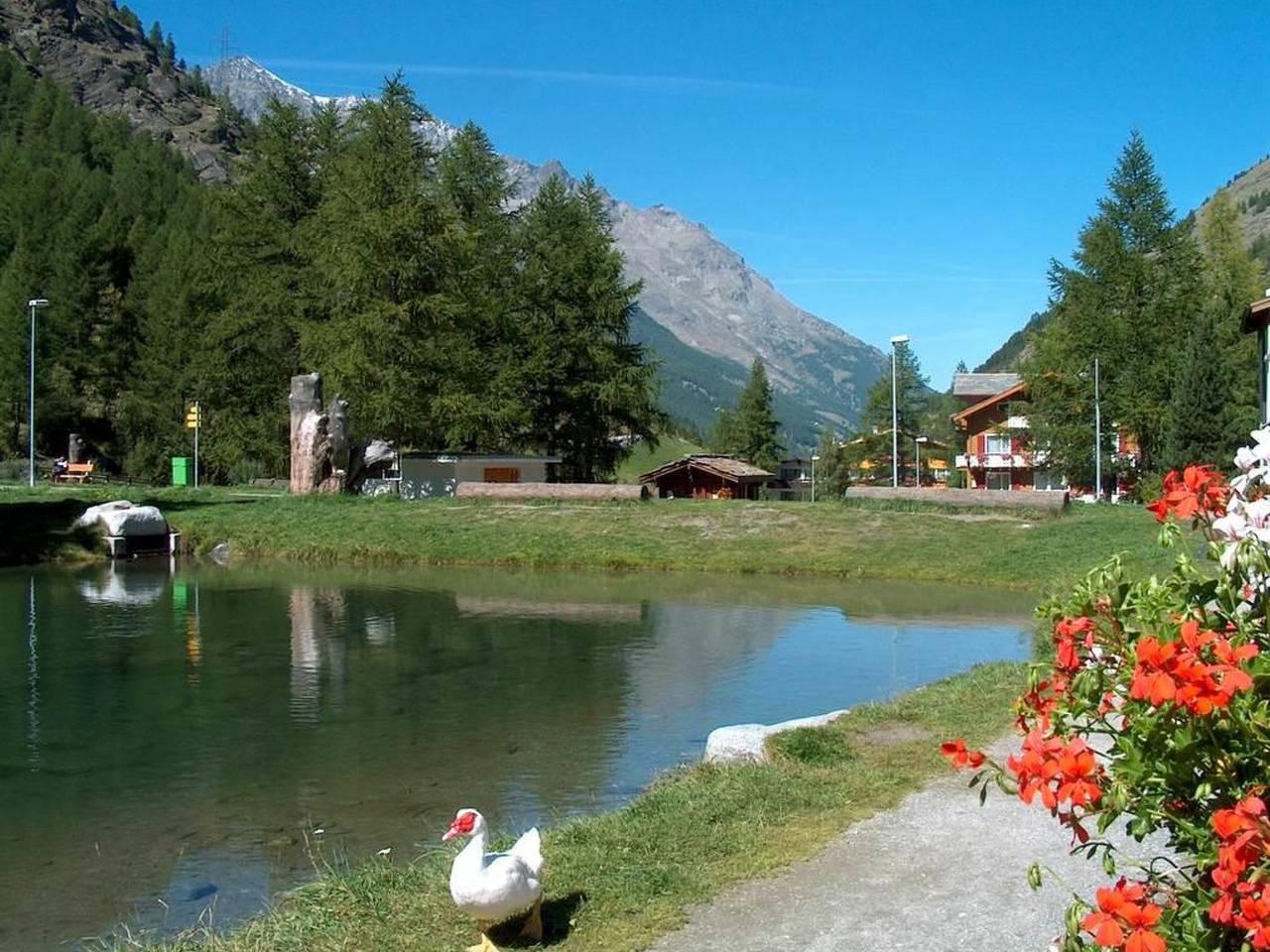 Vakantieappartement in Saas-Almagell, Zwitserland voor 11 personen foto 11