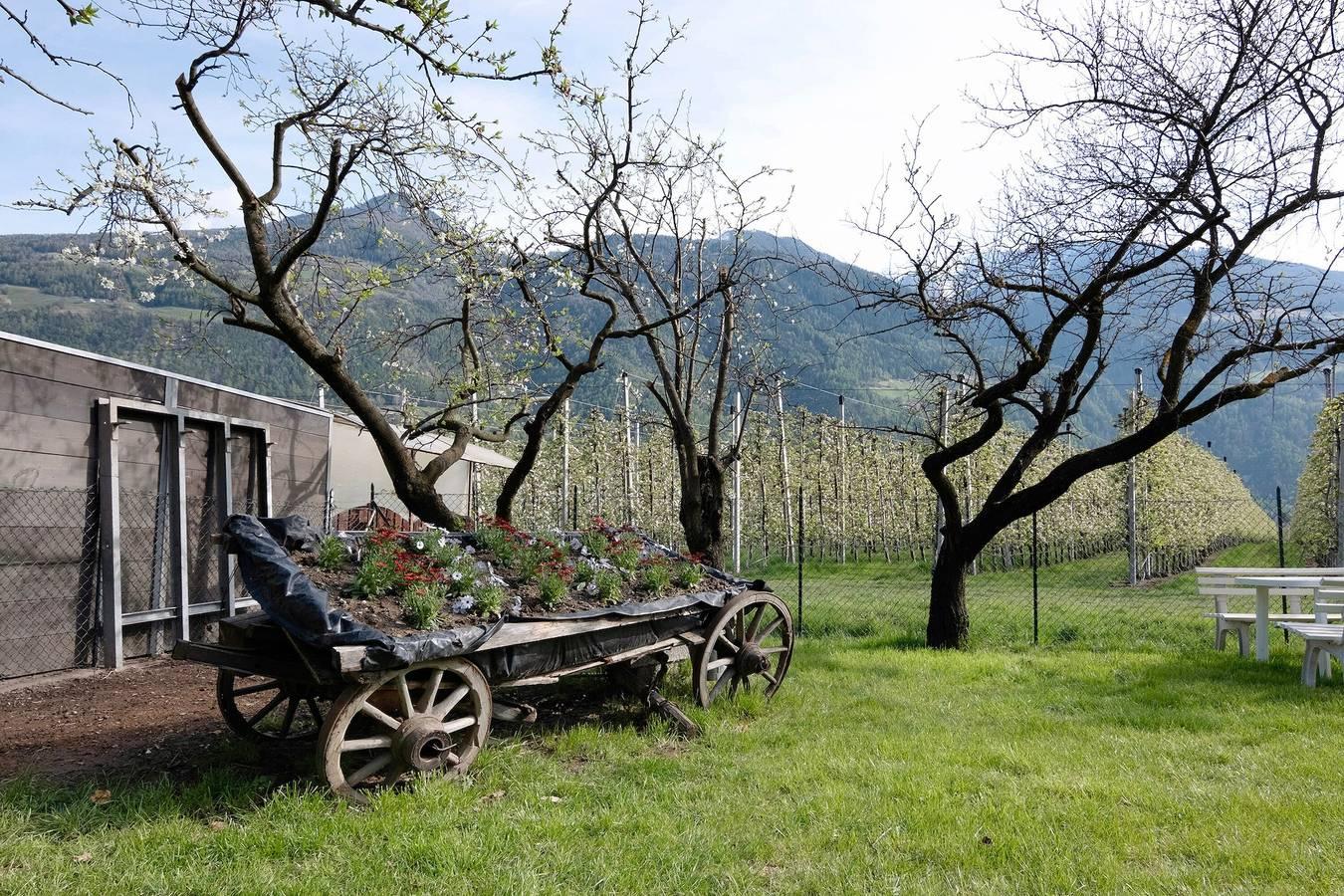 Vakantieappartement in Vinschgau foto 12