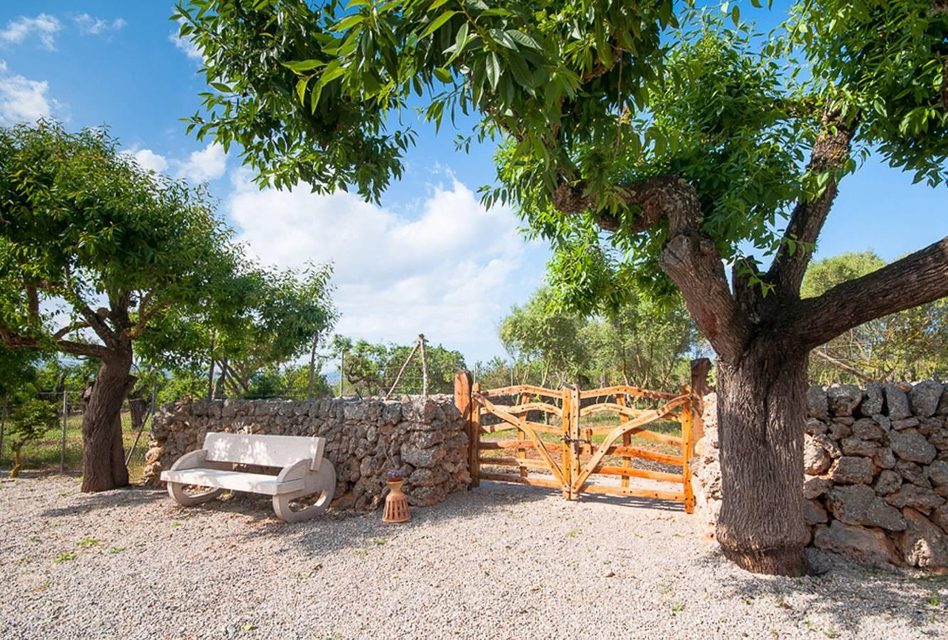 Caseta Son Morro in Santa Margalida, Noord-Mallorca, Spanje voor 4 personen foto 23