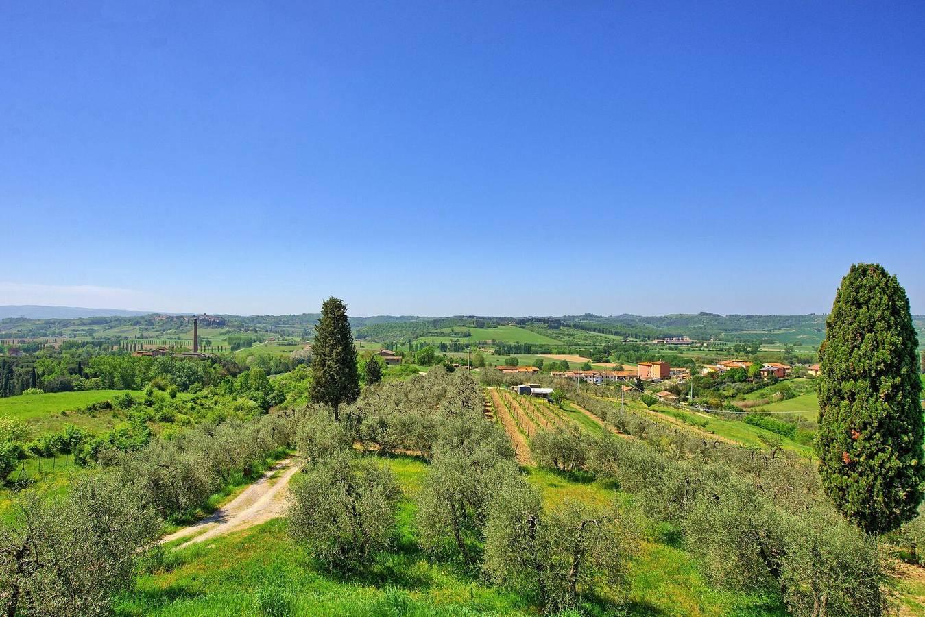 Vakantiehuis in Castelfiorentino, Italië voor 4 personen foto 5