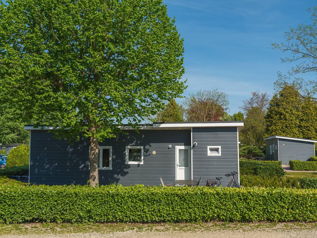 Vakantiehuis in Veluwe, Nederland voor 4 personen foto 2