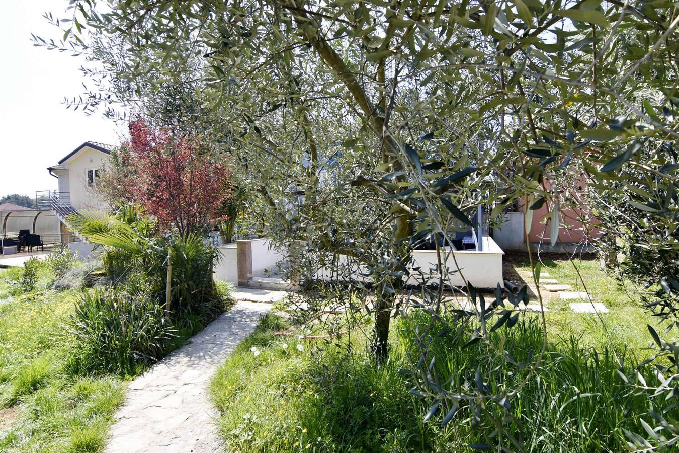 Vakantieappartement in Umag, Kroatië voor 2 personen foto 14