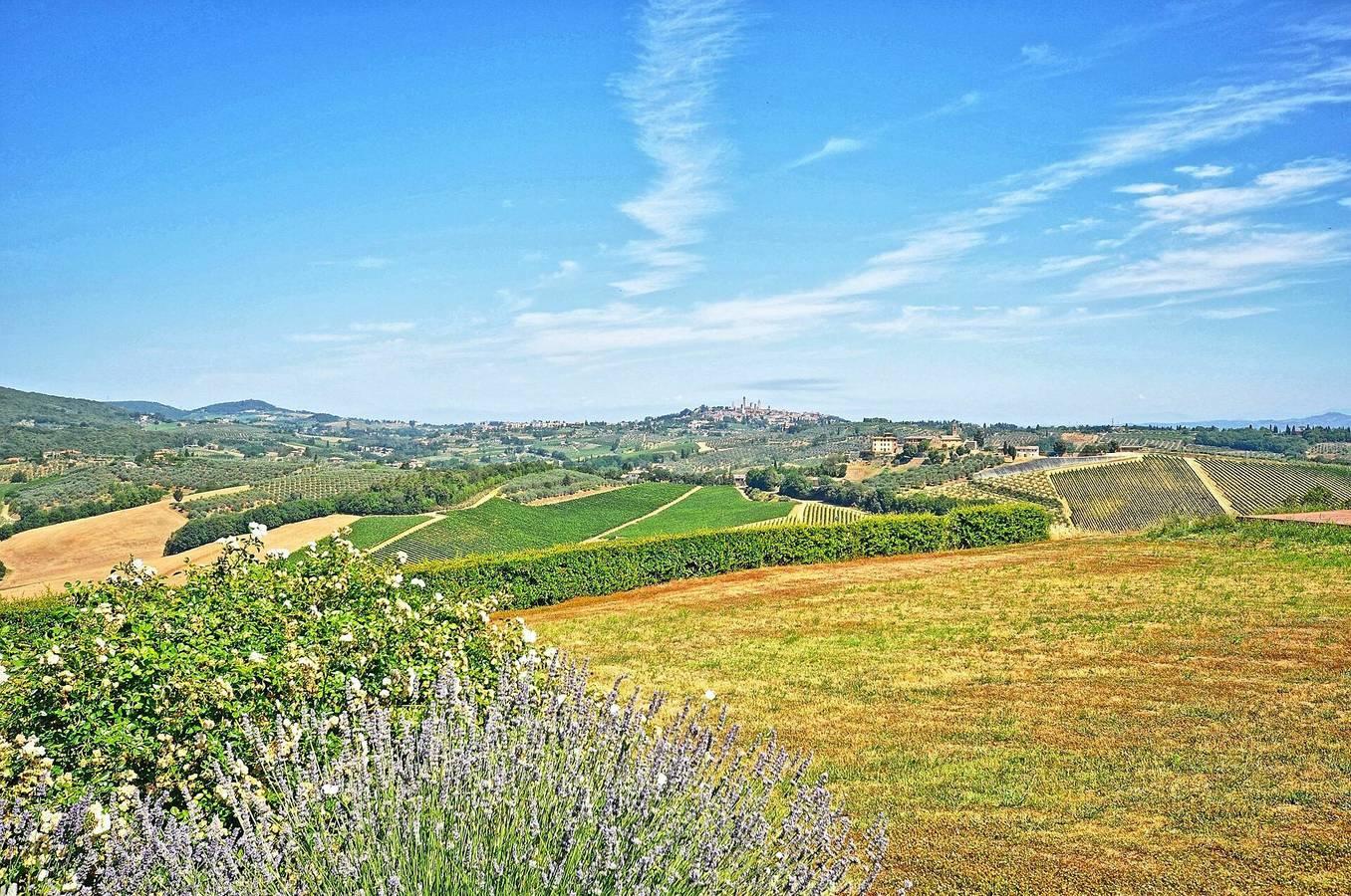 Vakantieappartement in San Gimignano, Italië voor 4 personen foto 13