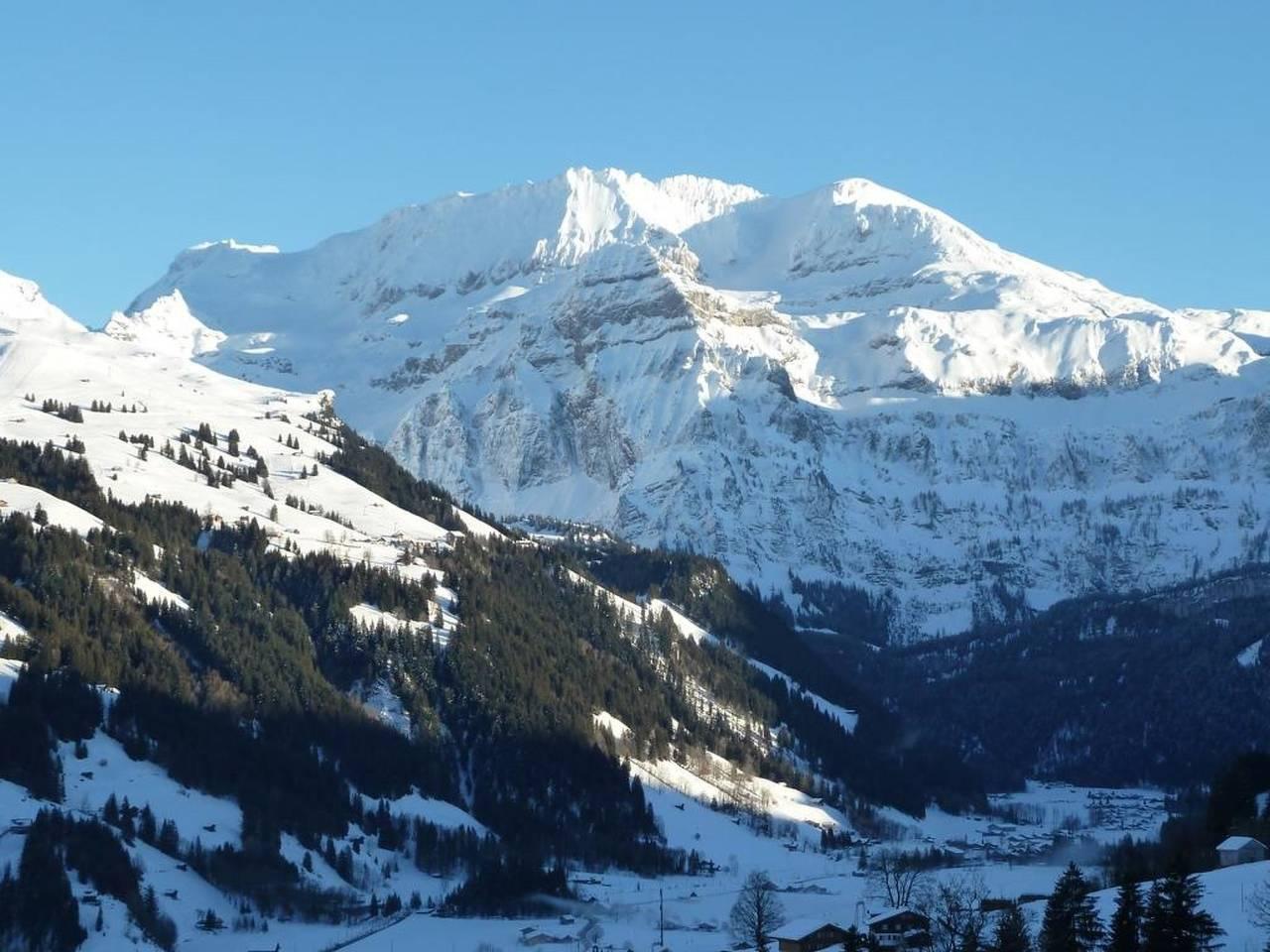 Vakantieappartement in Lenk, Zwitserland voor 2 personen foto 6