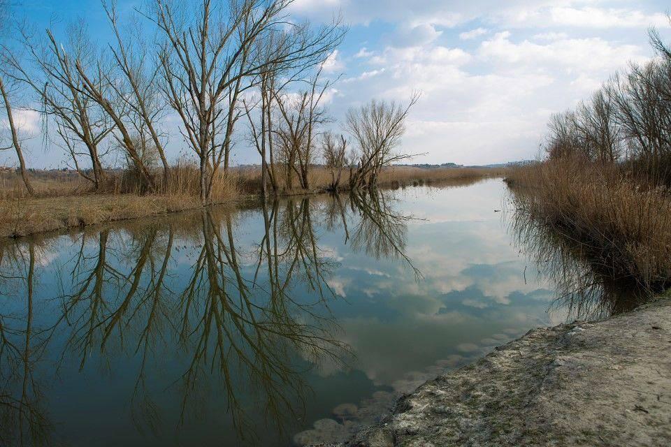 Vakantiehuis in Val di Chiana, Italië voor 6 personen foto 18