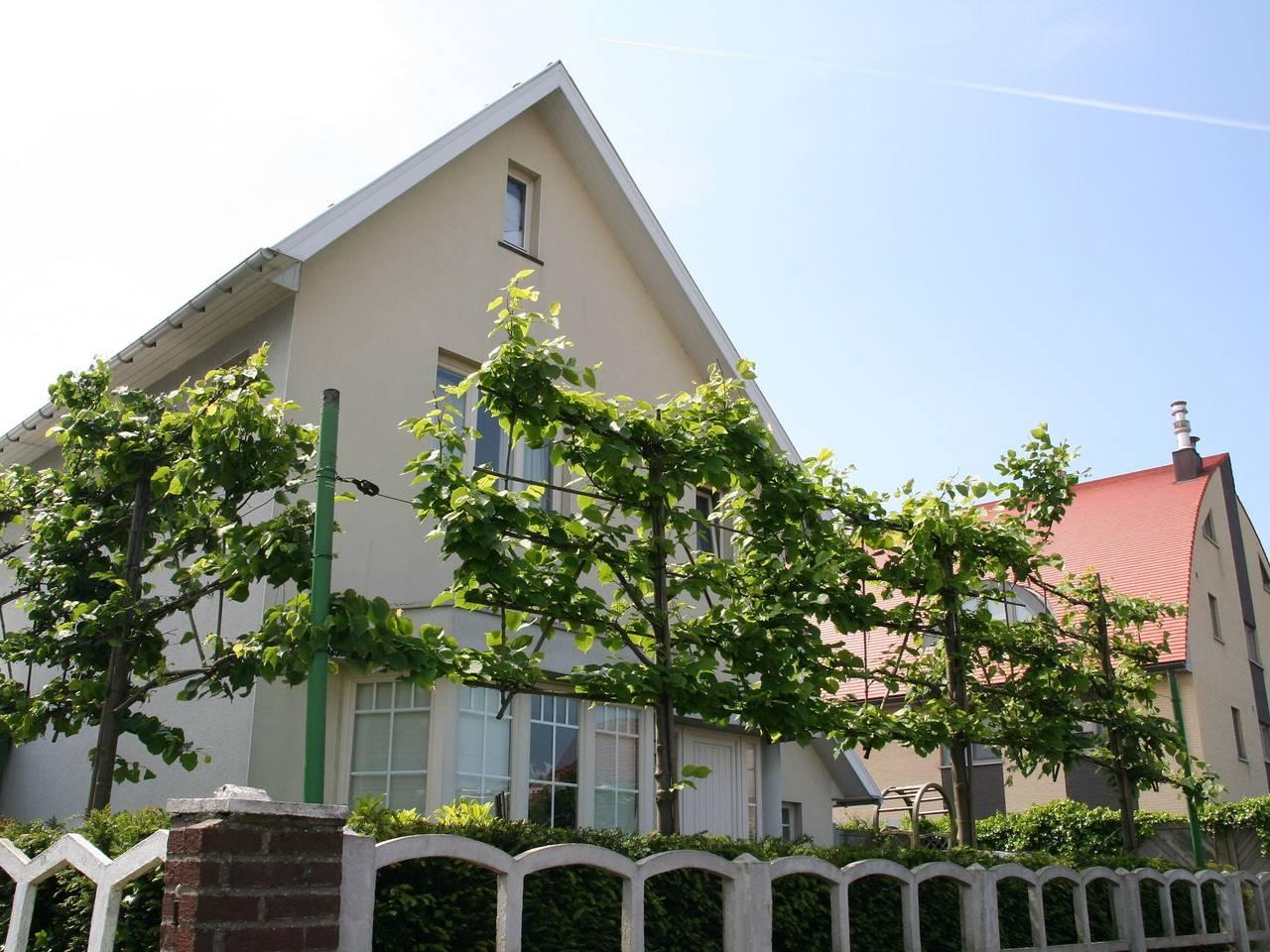 Vakantiehuis in Middelkerke, België voor 12 personen