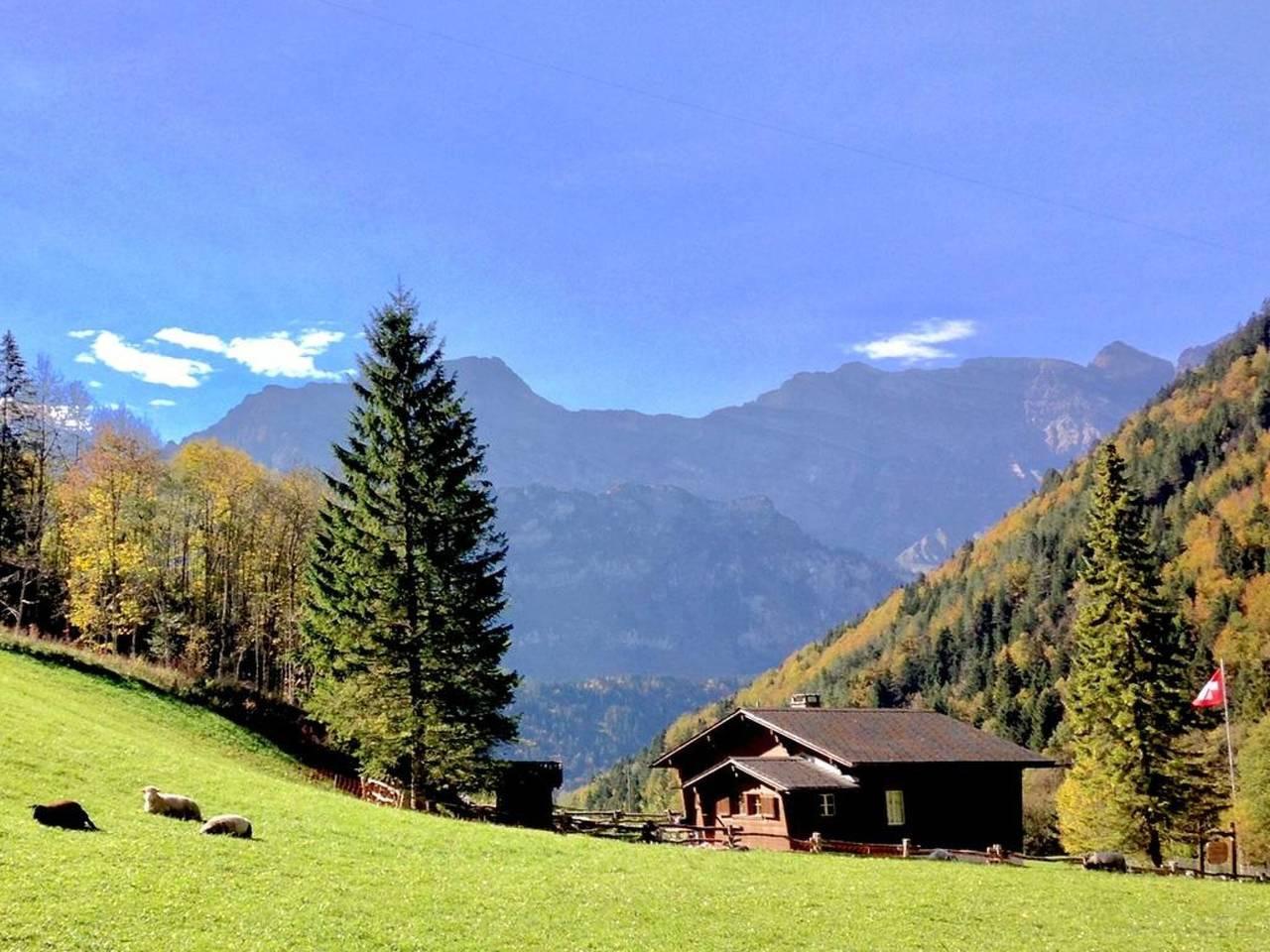 Chalet Bergmandli in Engelberg, Obwalden, Zwitserland voor 8 personen foto 20