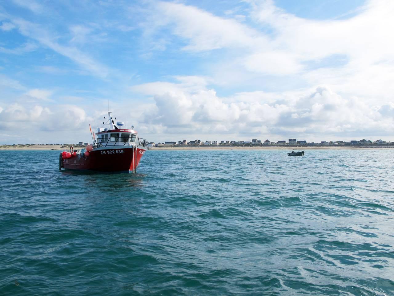 La Salicorne in Manche, Frankrijk voor 4 personen foto 22