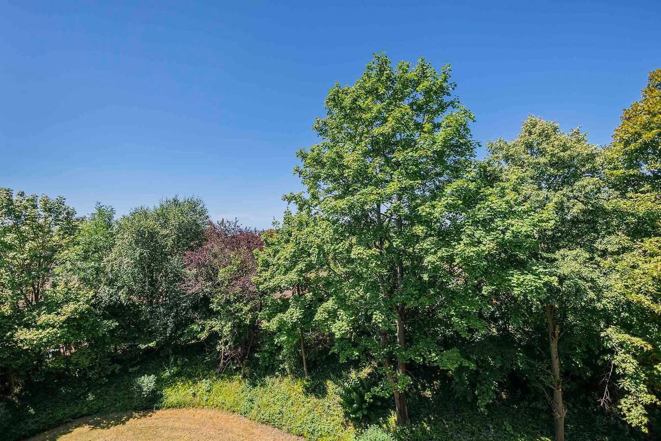 Vakantieappartement met 1 slaapkamer en balkon in Immenstaad am Bodensee, Duitsland voor 4 personen foto 21