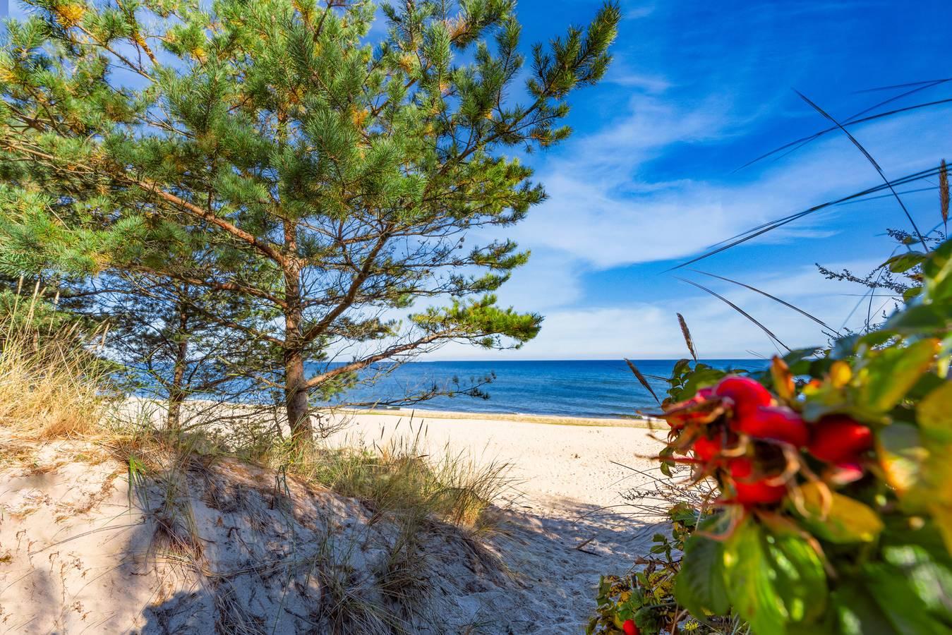 Vakantieappartement met overdekt terras in Kamminke, Usedom, Duitsland voor 4 personen foto 21