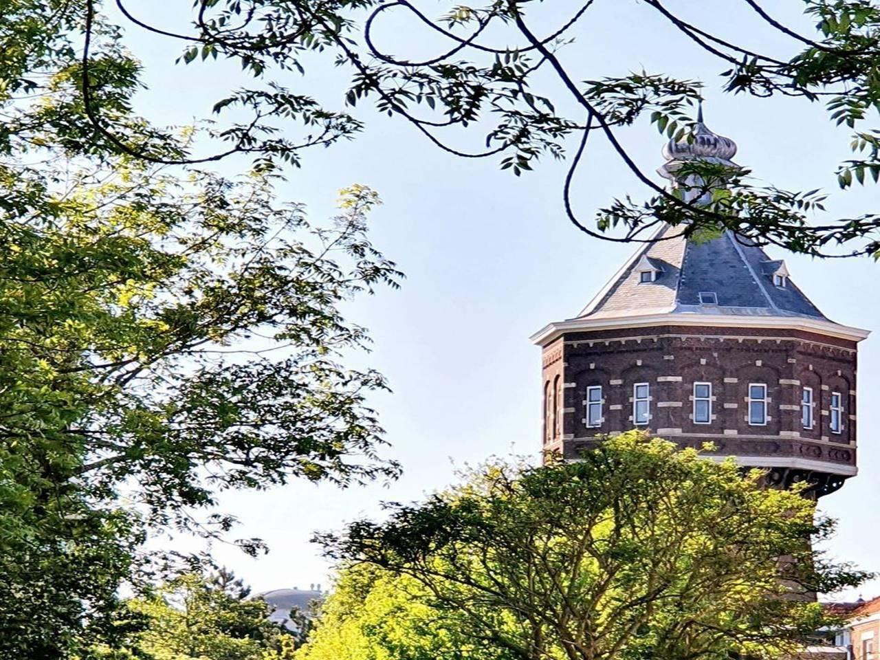 Vakantiehuis in Walcheren, Nederland voor 12 personen foto 15