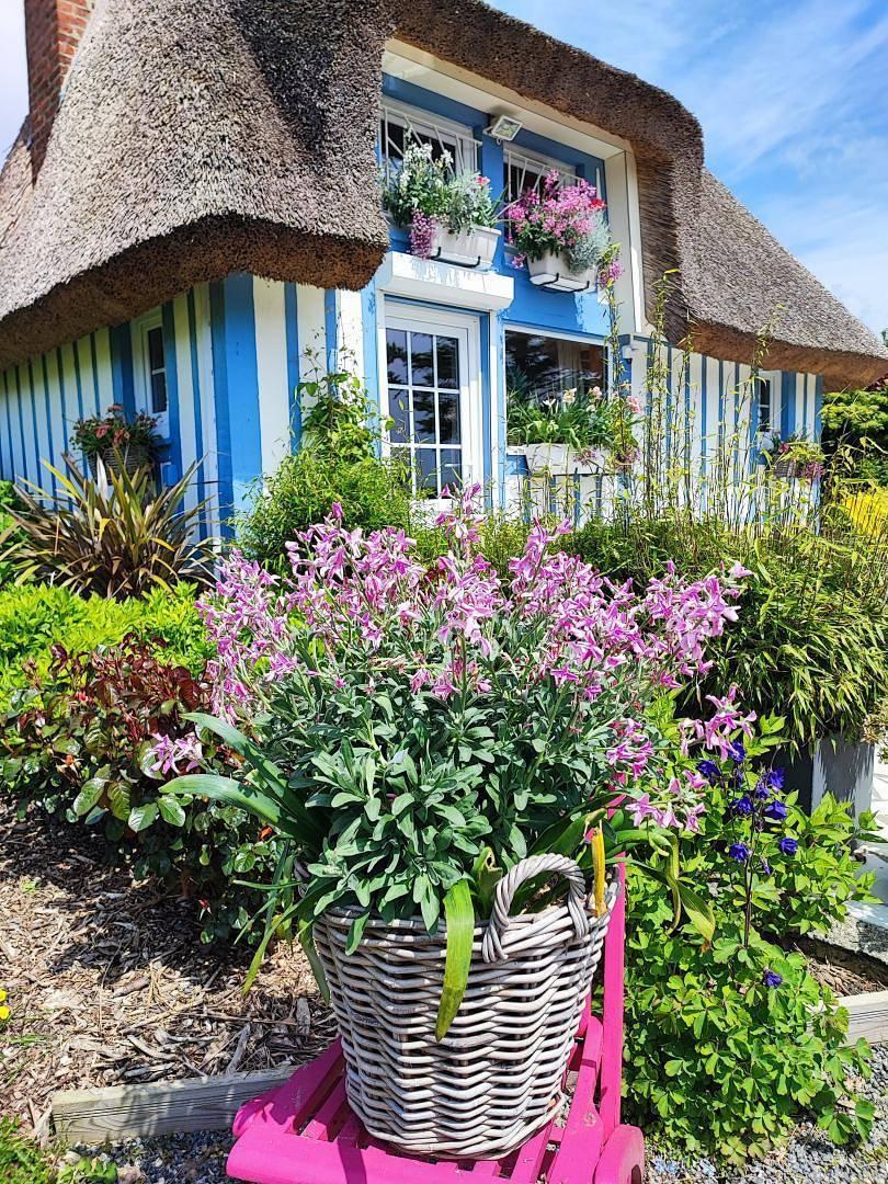 Gîtes de France® - La Chaumière in Beaurepaire (Seine-Maritime), Frankrijk voor 3 personen foto 24