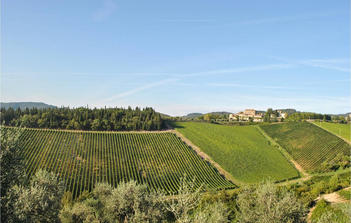 Luxe Appartement met Zwembad, Parkeerplaats & WiFi in Gaiole in Chianti, Chianti, Italië voor 9 personen foto 24