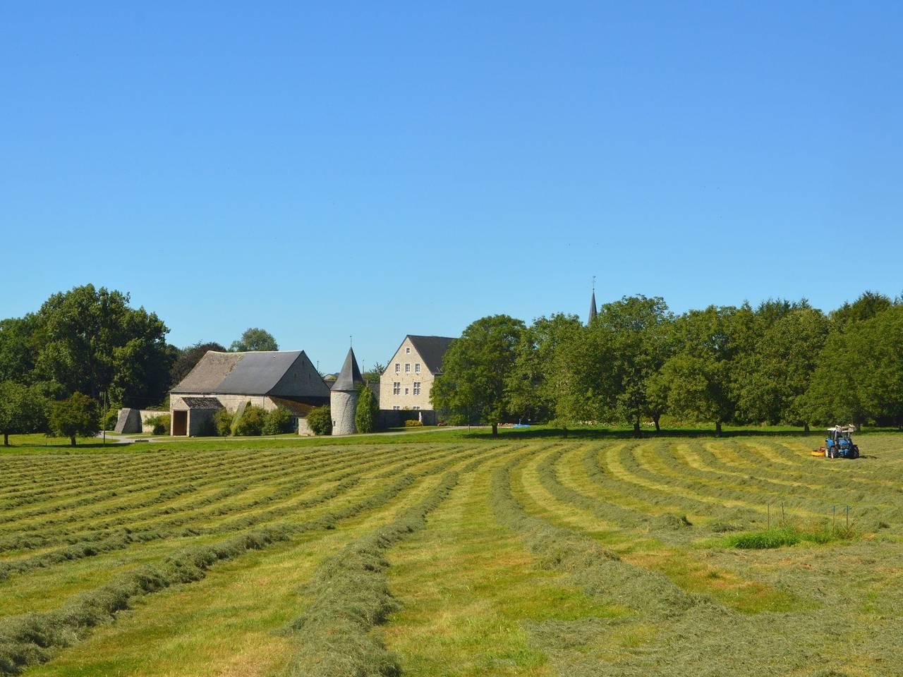 Vakantiehuis in Ardennen met Bubbelbad in Somme-Leuze, België voor 9 personen foto 23