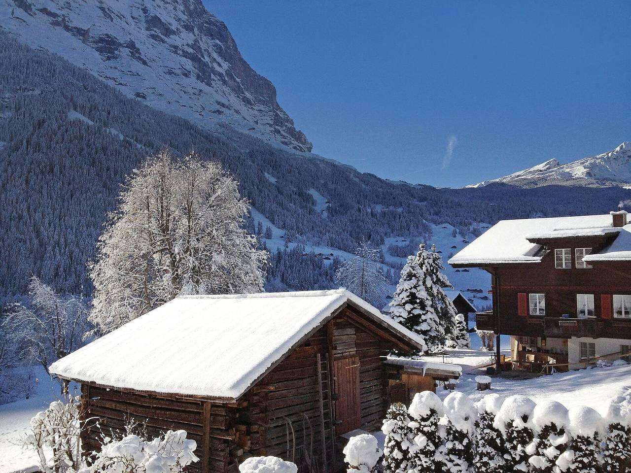 Vakantieappartement in Grindelwald, Zwitserland voor 3 personen foto 11