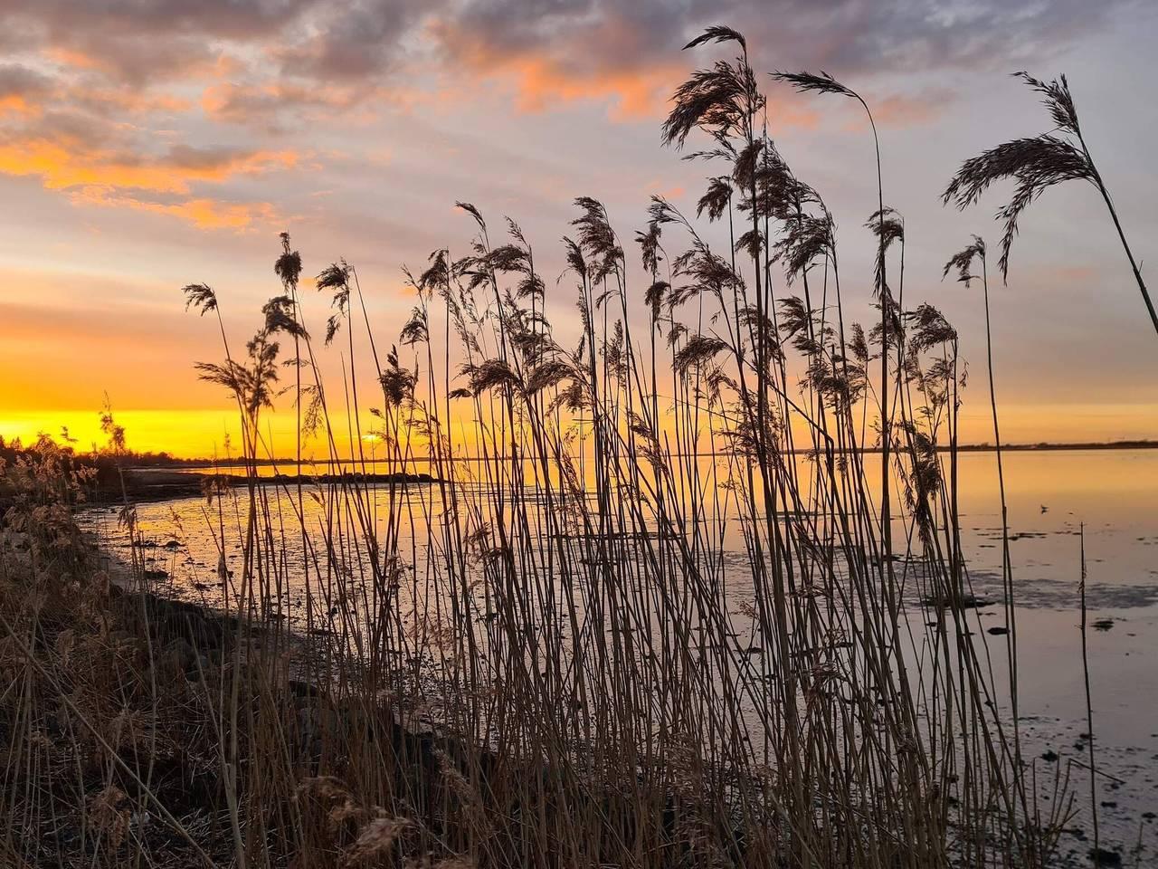 Vakantiehuis in Himmerland, Denemarken voor 5 personen foto 13