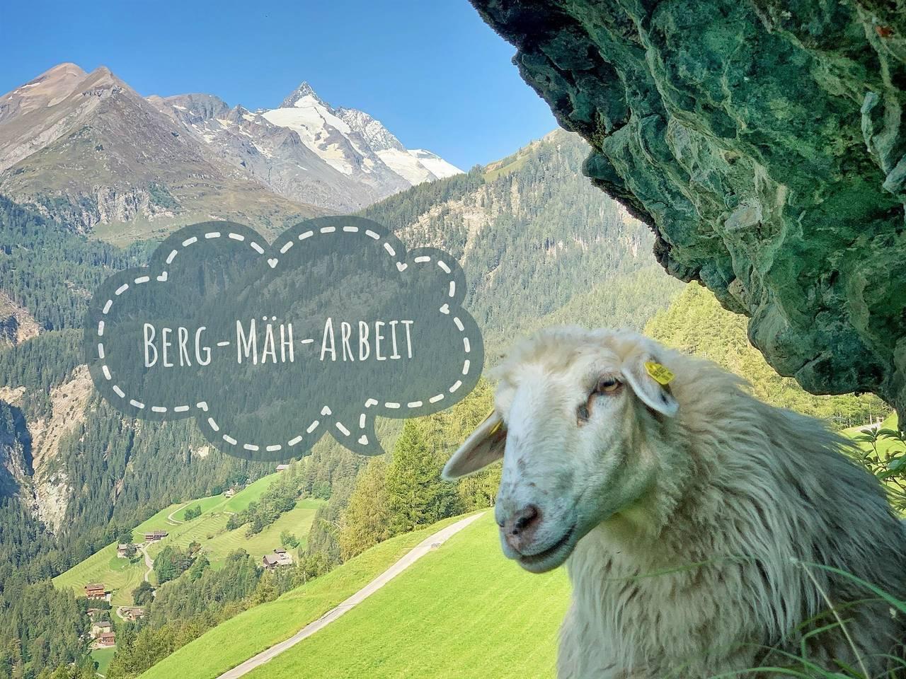 Doppelzimmer, Dusche, Wc, Balkon, Tv in Heiligenblut, Bezirk Spittal an der Drau, Oostenrijk voor 2 personen foto 24