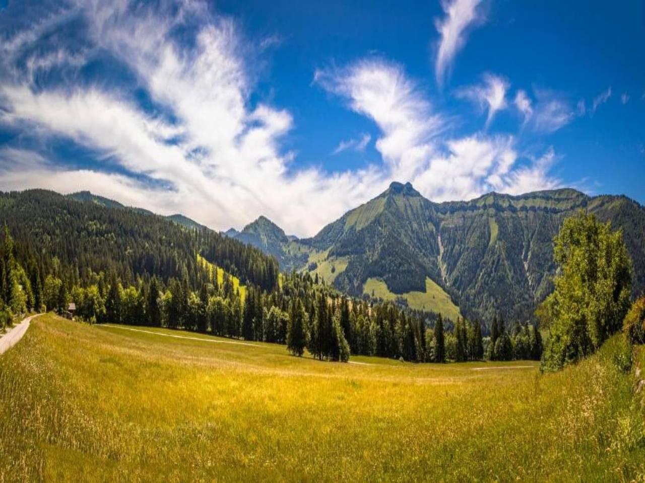Vakantieappartement met sauna en hond toegestaan in Flachau, Tennengau, Oostenrijk voor 15 personen foto 24