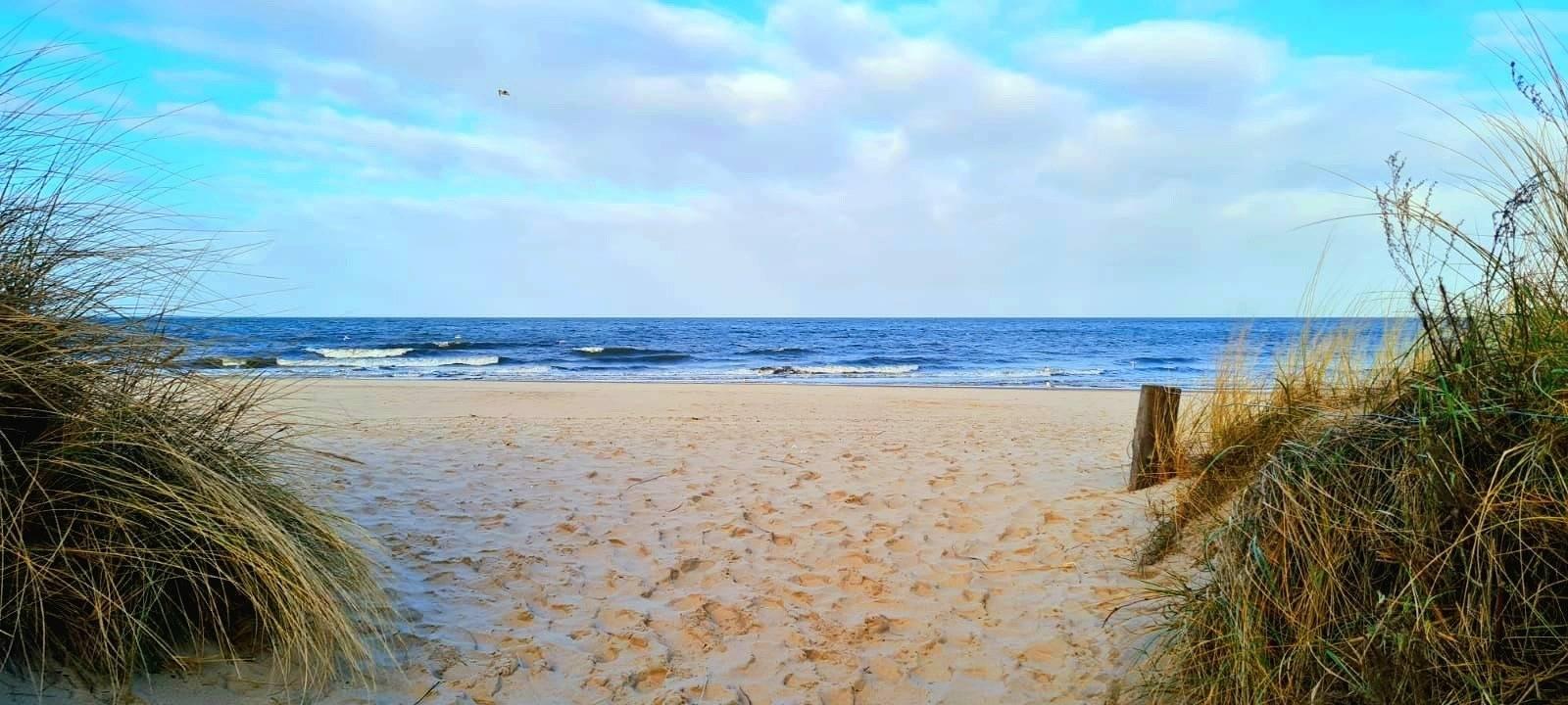 Vakantiehuis met ligging bij zee en hond toegestaan in Zinnowitz, Usedomer Norden, Duitsland voor 8 personen foto 20